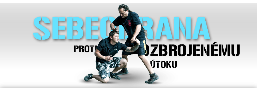 Kravmaga Logo